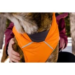 Ruffwear Quinzee™ Hundejacke Orange M -Hundebedarfsgeschäft 001bdf29a34dffebf7840b4a759030f83c299732 1370013 de DE 17dd615b14a3a705025267b6458fddf099eb308bn8H5c2
