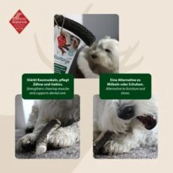ChronoBalance Geweih Ganz (XXL) 2er Paket -Hundebedarfsgeschäft 002f315d026da64c82a9bb1a9503243fa6474a87 1418694 de DE 594cf74f430c454b68b1620cb83ebdfecd05d9c59NNYRp
