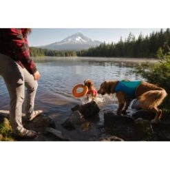 Ruffwear Hydro Plane™ Spielzeug M Orange -Hundebedarfsgeschäft 006b8682fcf44b40a786d55bd2f1d1cf7f91a7a7 1364300 de DE b9c71d828876a94633bfda1055d03e137f81043ehPprdP