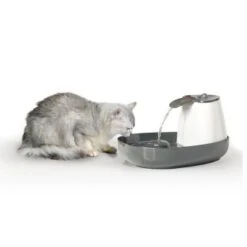 Savic Trinkbrunnen Cascade 9 Savic Trinkbrunnen Cascade -Hundebedarfsgeschäft 015652a13201b792a2f2ee6a9e8dd8898bb9683d 8c309c40131ee8faa1171afc3e1d237432cd64c4