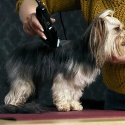 Moser Schermaschine Typ 1400 -Hundebedarfsgeschäft 02df9a45ad10057f7cdfbb122412b44ddb24fd91 7c7f90f149fd71377858189c53a8f5cca4170f60