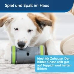 PetSafe Selbstbewegendes Belohnungsspielzeug Kibble Chase -Hundebedarfsgeschäft 04ee16df08a1d0058720c3c24edae0b380a4f40b 1418726 de DE 98f77b1c14ebd5f386fc2520d6b8f5d2f621874avKV76L