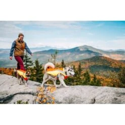 Ruffwear Lumenglow™ High-Vis Hundejacke Orange XL -Hundebedarfsgeschäft 055f8ec457e40b7d33e9c275c20ea79bae1e006a 1378153 de DE e8b1f6094bc39d07bc90bd4fe7fc0806cf22bedaBId7iB