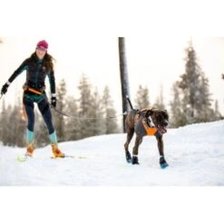 Ruffwear Cloud Chaser™ Hundejacke Schwarz XXS -Hundebedarfsgeschäft 06cfa3a745821d84428a1de78da0089ce33c0271 1369623 de DE 87163fc3e147e303fdf97d4ab87fd720c4f34a96nSWmMF