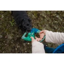Ruffwear Pacific Ring™ Spielzeug Blau/ Türkis -Hundebedarfsgeschäft 07365c8c03348a7be23ff66a31807695c41eac94 1444351 de DE bb2133baab48cb1d262b89fa47f175638eb3f7fcb9JpcH
