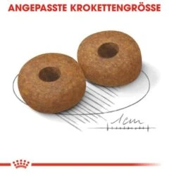 ROYAL CANIN Medium Ageing 10+ 15 Kg -Hundebedarfsgeschäft 0a453b86a84d0380c5d152e81e85c4fc2e5494ce c4a51033500711901bbb965ddf12b16b9f8c074f