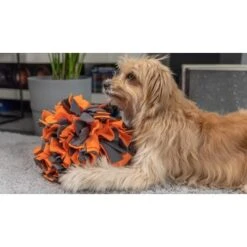 TrendPet Schnüffelball Orange -Hundebedarfsgeschäft 0b3adcfec2519e0c6e929e0267a6c980a87babfc 1347789 de DE 4bd3ff6adcaeee7c376418b75c81fae19b8db63bwKh8XT