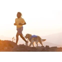 Ruffwear Trail Runner™ Weste Blau XS -Hundebedarfsgeschäft 0b5b007ea11304fa0e12a2aa87d6cc6d6e6417b8 1639640 de DE dd2f81006cc91bb9a3794f38bc8a64c6efb41dd51MouDb