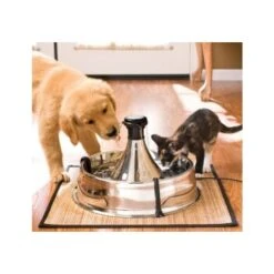 PetSafe Drinkwell Edelstahl Trinkbrunnen 3,8L -Hundebedarfsgeschäft 0b857d99be74785f03441cdf205d78afc573a5f0 f5de276ff33b0013ac854ac307e67ca3cb243cbe