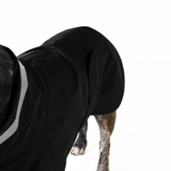 THE DOG IDEA Regenmantel Kayden Schwarz XXS 13 THE DOG IDEA Regenmantel Kayden Schwarz XXS -Hundebedarfsgeschäft 0e01175cba853a87eaf04bc91048ff79a3427543 1681338 de DE 6ffe4ba43054e7f852d6b34c5aa2c03f7bf7dd45347g4M