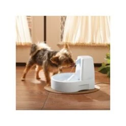 PetSafe Drinkwell Trinkbrunnen Original, 1,5 Liter -Hundebedarfsgeschäft 0eafb4742dba6833f9a27c15a06f970e4cd3a735 e5e9d8abdbe4501019d4b3506e15c02aeff7b01c