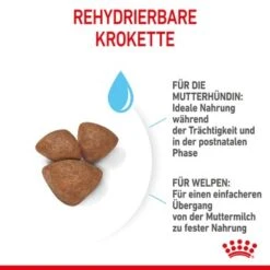ROYAL CANIN Mini Starter 4 Kg -Hundebedarfsgeschäft 0fda11790a7e5aba46647ddede0bb225f67516a6 2e349f3084f2f17a2ea2c0846a4c5757c02259b4