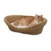 Silvio Design Tierbett Wasserhyazinthe -Hundebedarfsgeschäft 14291e6e0cb793d0bc1bded4927fa4ca3c6c261d 99c5e534d6884c616329c93bf91d297779d7fe78