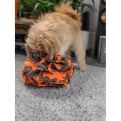 TrendPet Schnüffelball Orange -Hundebedarfsgeschäft 150c7485ceb45f446eae94d286af034396b6b839 1347789 de DE 0d959a3cb36067968769c2d102a66fcc1f59a724hVebVb