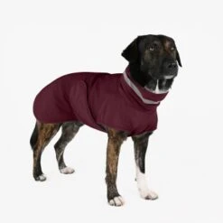 THE DOG IDEA Regenmantel Kayden Bordeaux XXXS -Hundebedarfsgeschäft 15199a1306a3ace800e507518b9566b7fa68dccf 1681344 de DE 94a97a0c60e07ef5f6aadab2583dc6e8415511e0pXx3H5