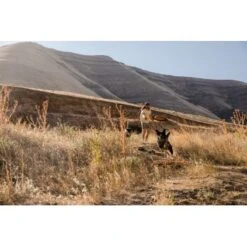 Ruffwear Hover Craft™ Spielzeug Orange -Hundebedarfsgeschäft 15670c7f824cb67257971dca32974b68eba14a2f 1364297 de DE f53c4ca5615bcabb9ccbd712339b8f568f29402frPrk2m