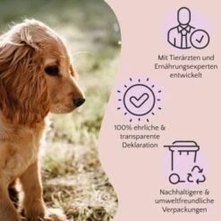 FAVLY Petfood Premium Naturkauartikel Rinderkopfhaut 750 G 7 FAVLY Petfood Premium Naturkauartikel Rinderkopfhaut 750 G -Hundebedarfsgeschäft 16b068451ff3df67cd4c996bc25d91fc297148e7 1473999 de DE a2c9f8d86d80fc90ca8f9c923a08051ec130ef8dA94Ri3