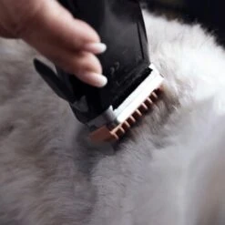 Moser Schermaschine REX -Hundebedarfsgeschäft 1772a67d22493cedccf903dd1e91d7ff370d86f7 29185d9f269d8954e1525c804aae277033703d78