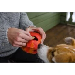 Ruffwear Gnawt-a-Rock™ Spielzeug Blau -Hundebedarfsgeschäft 18a32f6fd206d1a1fd4df8bb6663cd33f769d9d5 1639879 de DE b243dd683d9144eaac7a8d1e460c634ef96ee8c8AtipD6