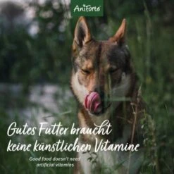 Aniforte Pferd Pur 2,4 Kg 9 Aniforte Pferd Pur 2,4 Kg -Hundebedarfsgeschäft 18e6c8000d4fc4f795115c1f1e69ba3ee23968e4 1422180 de DE 12b8cfe33ee675107bc8329d05c3a48ecec8adbaMtB9Rv