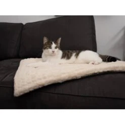 TrendPet Heaven Gefütterte Liegedecke Beige XS -Hundebedarfsgeschäft 1cbcc70fb52cad4d647f2839fe0bd973c70c3194 1247692 de DE afe399b6e05ab9a3bb6e2580fd9749db565c2c4d5SMNrr