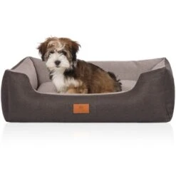 Knuffelwuff Hundebett Luke Aus Velours Mit Feinem Handwebcharakter Schwarz/ Grau M-L -Hundebedarfsgeschäft 1d206c1f4f4de741e5c33523dbf3ae5619400553 1411879 de DE 9a48efa0c81864708a3513cfa400775d99996c87qNcMXn