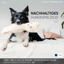 Freudentier Nachhaltiges Hundespielzeug Daniel -Hundebedarfsgeschäft 1d76f528eae39671e4d1834457219c343008a2d3 1408970 de DE eaef6ecd52d3d4c991411f4325e77d342eb1ce7eIH205L