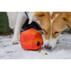 Ruffwear Gnawt-a-Rock™ Spielzeug Blau -Hundebedarfsgeschäft 1df4ce0c3e2b13b9dde849014a9b4637ff5fbf94 1639879 de DE 625c8d7bd239fd4e64b055b3b2574c1b5400a391xF45nb