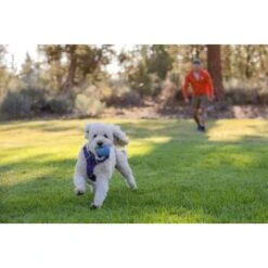 Ruffwear Huckama™ Spielzeug Violett -Hundebedarfsgeschäft 1e25287ed59c30d76e9b799ca71232e607c6932b 1639706 de DE 4cde75bd4ef04e9f936b40473471e71f69a39443R9gkOp