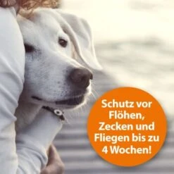 Ardap Flohspray Zur Anwendung Am Tier 250ml -Hundebedarfsgeschäft 1e38b7747570a91b3fd009f3974005664ac2d015 1227735 de DE 3ce23e78efb3686272f02c09e5ca6ade74ba7902gmBWUo