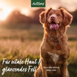 Aniforte Shampoo Sensitiv Fellharmonie 200ml -Hundebedarfsgeschäft 2097254a6b4e415d3a0edb83aa9d2032cffed91d 1429321 de DE 9ad2c88d61b15118d84c53e444ddfb7e0e6c1229m11pID