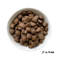 Eat Small EatSmall 2kg Maxi Active Trockenfutter 12 Eat Small EatSmall 2kg Maxi Active Trockenfutter -Hundebedarfsgeschäft 22e161dfc285ae2a6a1e5a0dc3dd026c918ef066 1450723 de DE 7be7b6abbd10a501ad4eda906b0ca458956766a1CXCEHe