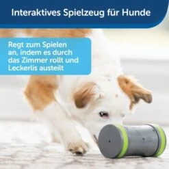 PetSafe Selbstbewegendes Belohnungsspielzeug Kibble Chase -Hundebedarfsgeschäft 232030f86f814de36b46e922b9019b2a80aa0a4a 1418726 de DE cabfebb8ef64f9f8a7009d6c5080cb046558ff00b0jRo2