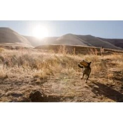 Ruffwear Hover Craft™ Spielzeug Orange -Hundebedarfsgeschäft 23f3ce0fb188e4f5a253007adc90481d6747961b 1364297 de DE e44fe3627eb338195cfdd7c589598a8edb05def2xpzXS1