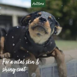 Aniforte Welpen Shampoo Aloe Vera 200ml -Hundebedarfsgeschäft 24d06fb25fbbde7faf20913bac088bf6a89c27e4 1441193 de DE c896ce749721f4cfba0f719b91337abb758fb3f7kULxwC