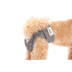 Lills Läufigkeitshöschen "Lou" Pink Berry Grau XXL -Hundebedarfsgeschäft 2510182477e0473189522ab4c4eec9318a5ab186 1662393 de DE e81483ca839e45ba2b9fb54d71ddd02dbfa55b06LbZw0y