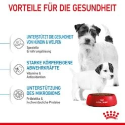 ROYAL CANIN Mini Starter 4 Kg -Hundebedarfsgeschäft 26b60efd06ae3b4d0243fe6be53aa26cce422d3d 24bdbd0f35c05770bd7d9069390781e92d02d4c1