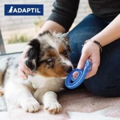ADAPTIL Junior Halsband Anti Stress Erziehungshalsband 14 ADAPTIL Junior Halsband Anti Stress Erziehungshalsband -Hundebedarfsgeschäft 281050210313953b97368cab0756aeb1543af3e5 1287044 2
