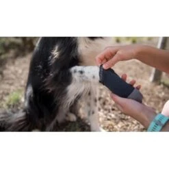 Ruffwear Bark'n Boot Liners™ Socken M -Hundebedarfsgeschäft 2835dda8cd15e33a659ec5080d162d132daa0859 1363986 de DE b8adaab7095817086a79f83ae1a26d9c3b5c1b8bAgOMlL