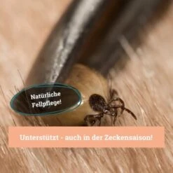 BeG Buddy Fellspray Zecke -Hundebedarfsgeschäft 297119792bee87c54c4080010b8d6149223d300c 1457254 de DE b0426d8711049b0aafb9b17aaa93a89672536d279Kmo8x