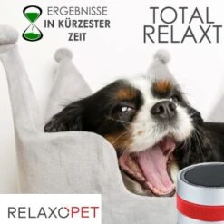RelaxoPet PRO Entspannungs-Trainer HUND -Hundebedarfsgeschäft 2a2890af55504b316fb288b48c33f73cd8cd6818 1315705 de DE 86a89a3dec2d79cadfd859276b25e24b347ce6a68JwiKQ