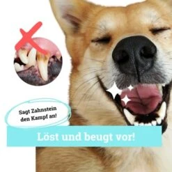 BeG Buddy Zahn Weiß Dental Spray, Zahnpflege & Maulhygiene Hund -Hundebedarfsgeschäft 2b26d8c9897450ebcdc3208b54321074a39fd8e8 1457255 de DE d036d3de3fb2bf618dcbd8071c7342bd7ffedc2f5CGqW6