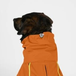 THE DOG IDEA Regenmantel Duke Orange XXXS -Hundebedarfsgeschäft 2c464c8150423d80739b1409ce956e12c7928827 1473000 de DE 974a3540330c77e50b2a59dc10e705f1dbfc6716V9PfXa