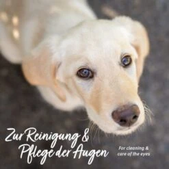 Aniforte Augen-Reinigungspads Augenpflege Pads 100 Stück -Hundebedarfsgeschäft 2c46fac98c3da53602d760eddfc241859ea4e8e7 1429270 de DE e9d49bc0e437e6a7fd896cb338fb281d9167a5480BuaSS