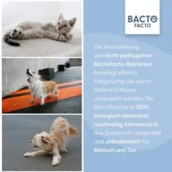 BactoFacto Fellpflege Spray 15 BactoFacto Fellpflege Spray -Hundebedarfsgeschäft 30b14586b3a3474b0cfce5fc7df4afffc88c5118 1408996 de DE 0500f7acce4be40f22c19f011f98967543a70717VmmbpR