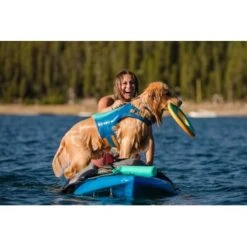 Ruffwear Hydro Plane™ Spielzeug L Blau/ Türkis -Hundebedarfsgeschäft 3182973e4d2d3f04d1c88a483ada75b0da0b40b4 1364299 de DE 1b9b90a8c9802f9550dc8b34c08b951202478f9aXpyQQq