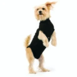 Trovet Hundebody Recovery Suit Schwarz XXS -Hundebedarfsgeschäft 32b188fe2b1d79c98c3d705ed0768a2dea55c852 c9c58232ac385af15a91fd1318f8583c048209d5
