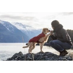 Ruffwear Overcoat™ Hundejacke Rot M -Hundebedarfsgeschäft 32b81091541e421621a809b75c62062d90eca320 1369977 de DE e6611e4bd31113b7d836455a75813df21f681f8eLLYoOv