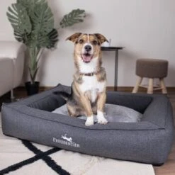 Freudentier Orthopädisches Box Hundebett Siebenschläfer M -Hundebedarfsgeschäft 32de9266716854cdaed24d4e14dc10e4656a1fe7 1477909 de DE a1d3b17f0715bf9005338fd2dbe5c71fb79f4226UdMUzr