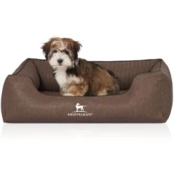 Knuffelwuff Orthopädisches Hundebett Chesapeake Aus Laser Gestepptem Marmoriertem Kunstleder Braun M-L -Hundebedarfsgeschäft 33c23c19295ad0881ab8091487086f89c6372a28 1412324 de DE 23f91e124bd6855a2eb7ad0906981c8ab111a0430571Dm